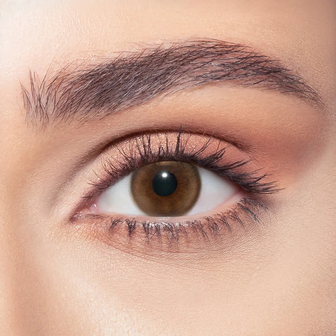 Bella One day Siren Bronze
