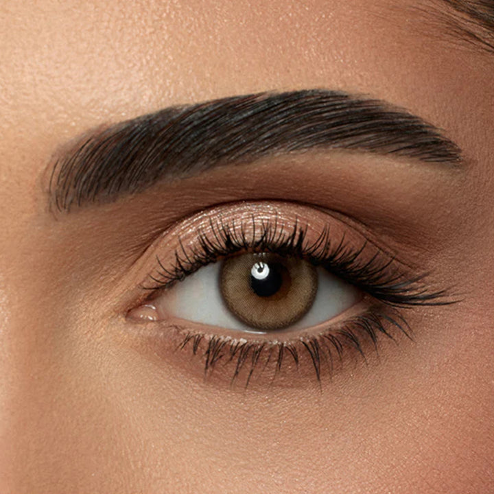 Amara Daily Colored Contact Lenses - Honey