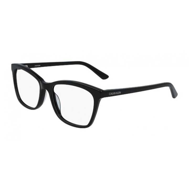 CALVIN KLEIN F.R CK19529 5417001