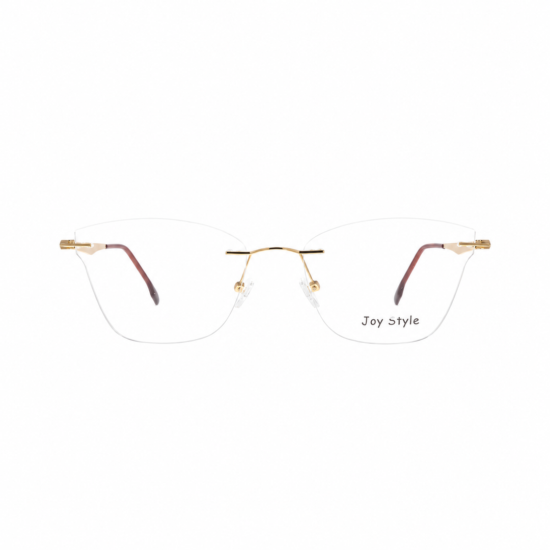 Joy Style DC3060C2 clip eyeglasses front view on white background