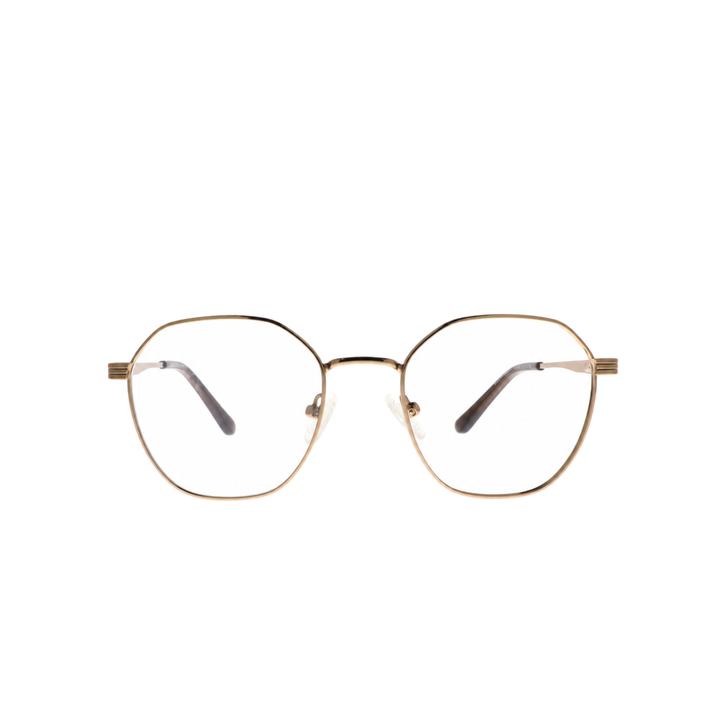 Joy Style JOYOLD42095MC5 brown gold eyeglasses front view