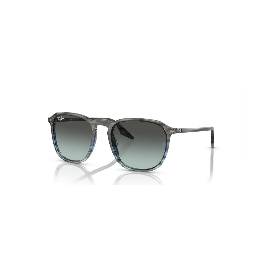 Ray-ban  RB2203 1391GK