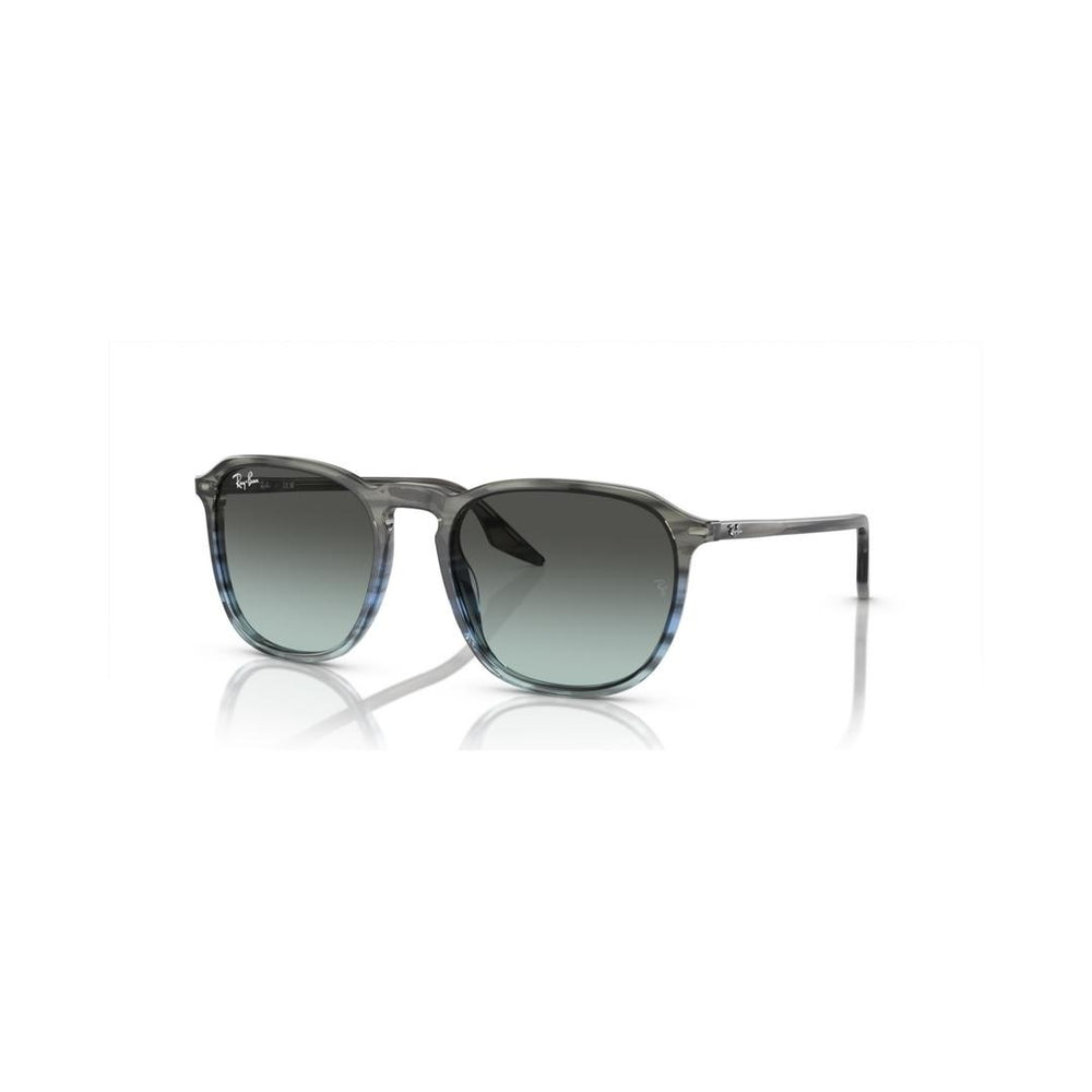 Ray-ban  RB2203 1391GK