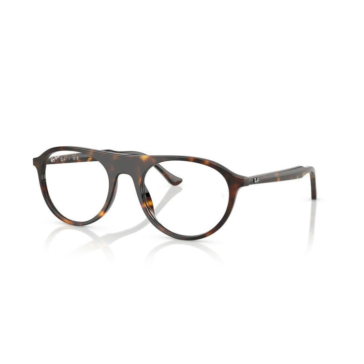 Ray-ban  RX5441 2012