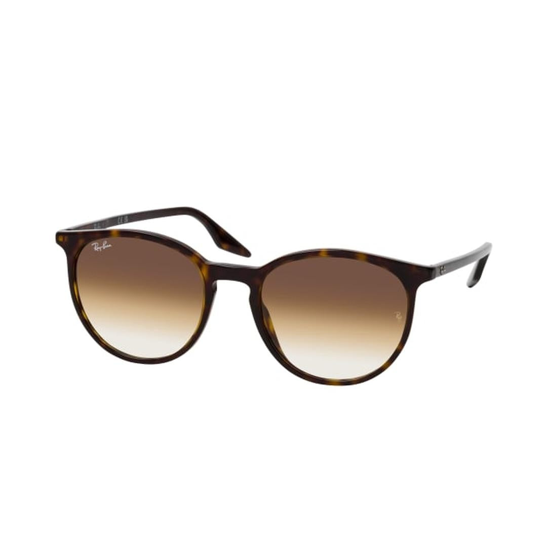 Ray-Ban RB2204 902/51 54