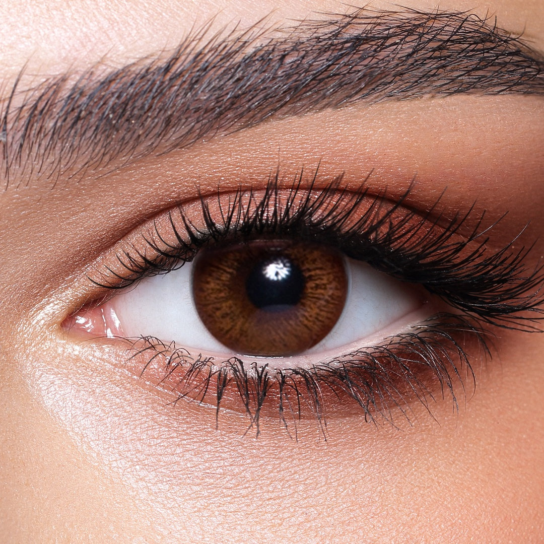 Bella Monthly Colored Contact Lenses - Elite Cinnamon Brown