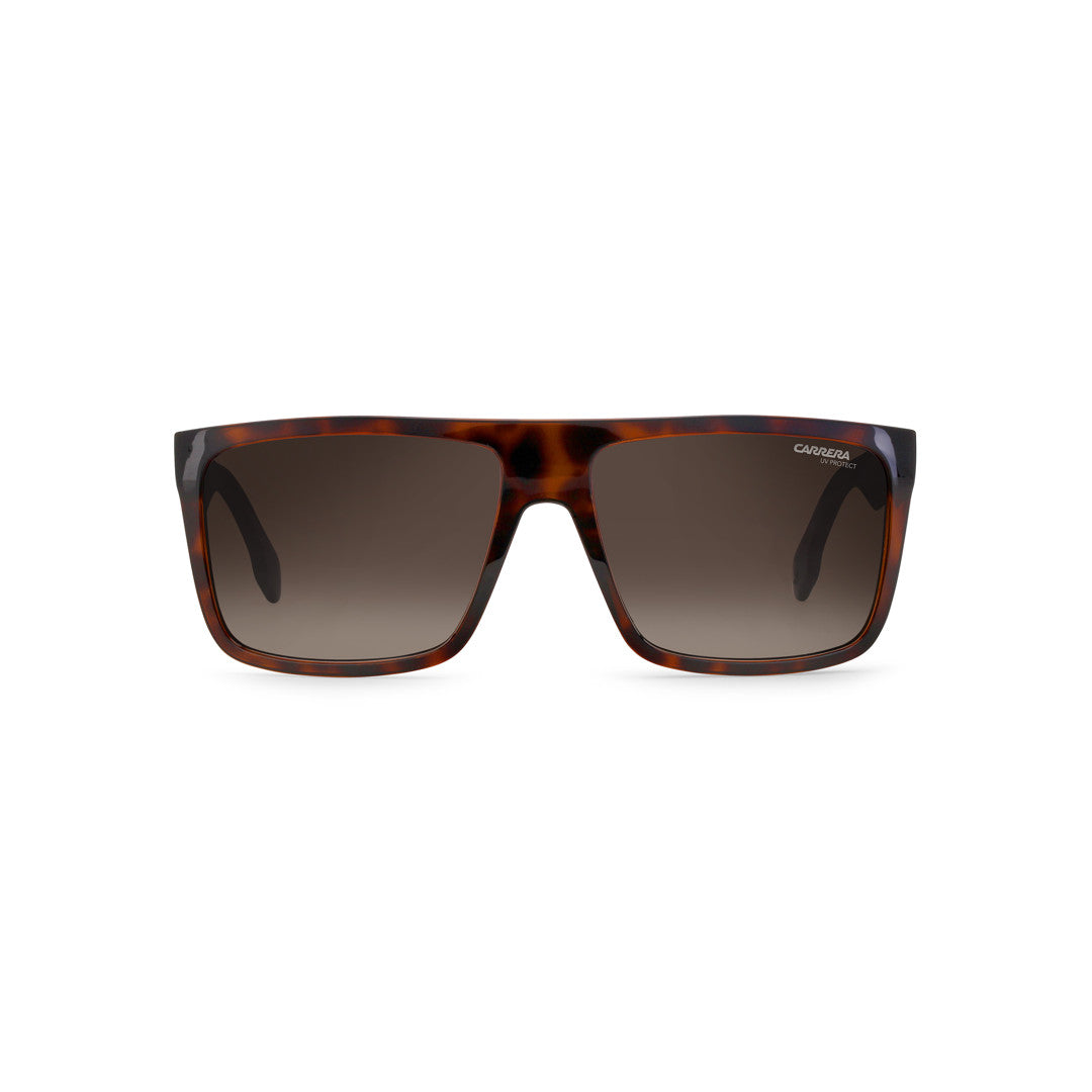 Carrera 133/S 2000542m257ha إطار نظارة شمسية من الأسيتات للرجال، إطار كامل مربع مزدوج الجسر باللونين الأسود والذهبي مع عدسات متدرجة باللون البني غير مستقطبة 58-16-145