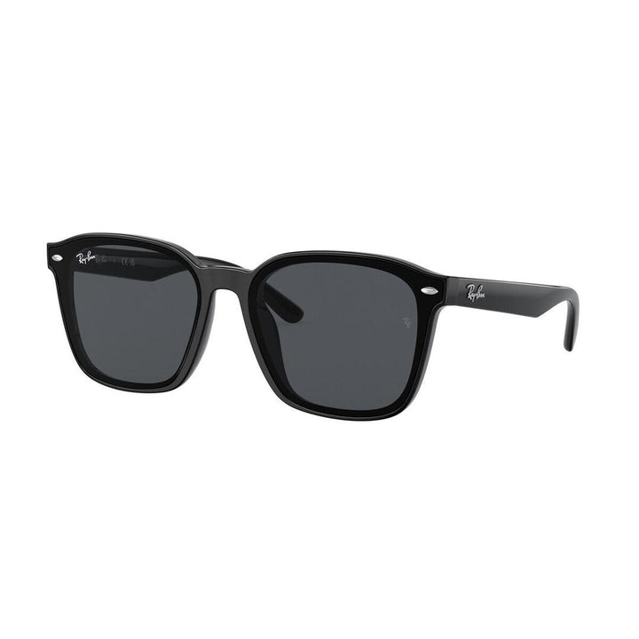 Ray-ban  RB4392D 601/87