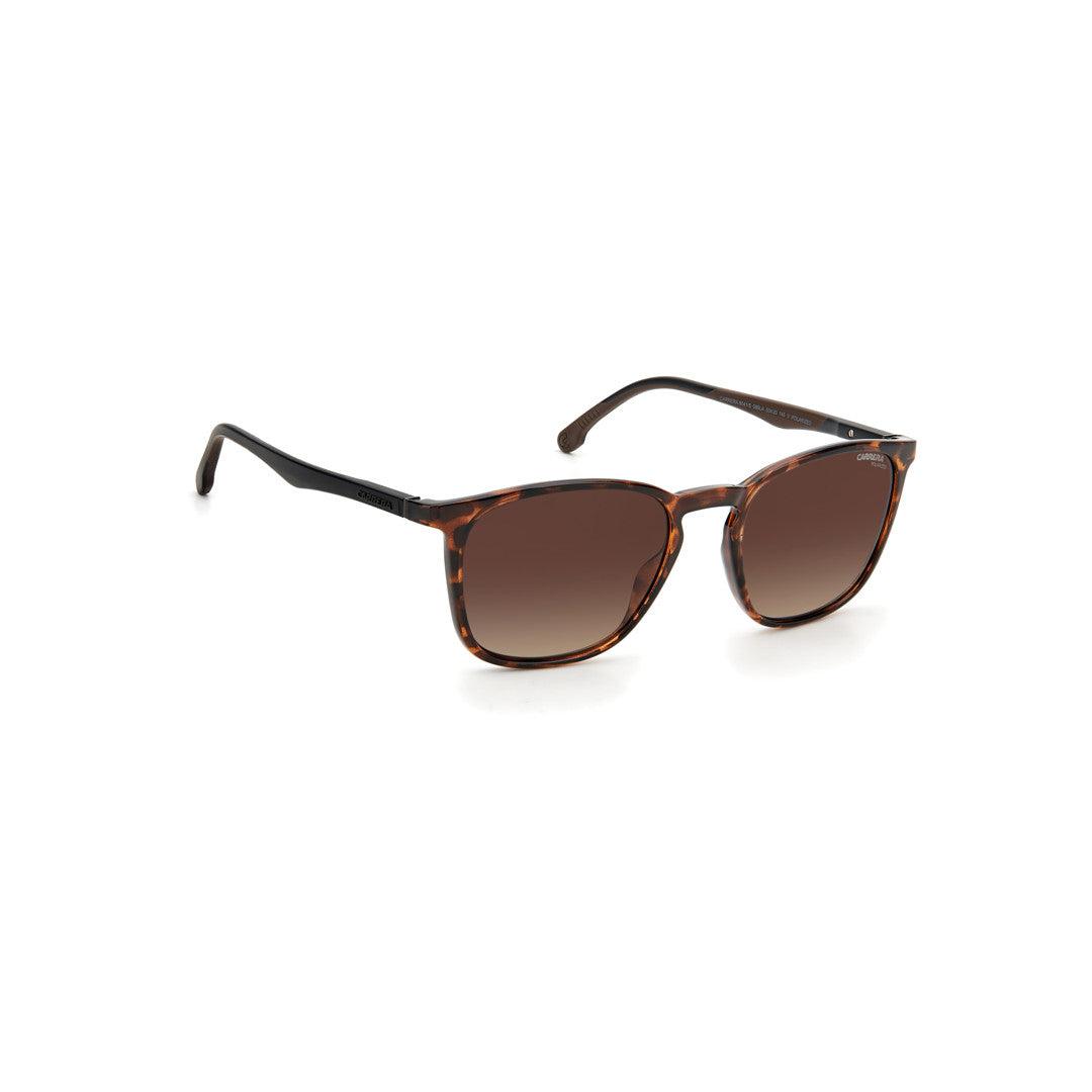 CARRERA S.G 8041/S20335708653LA 53-20-145